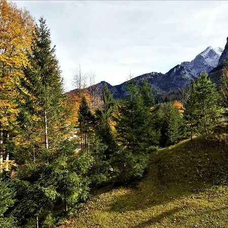 Waldwinkl